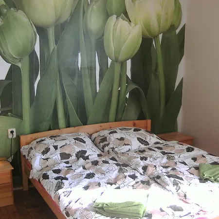 Appartamento Millo *